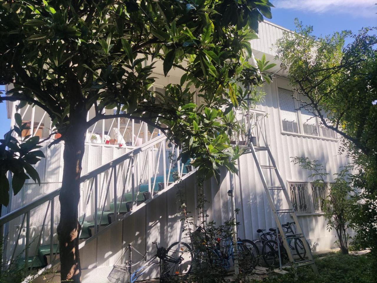 Green Fields Padova Exterior photo