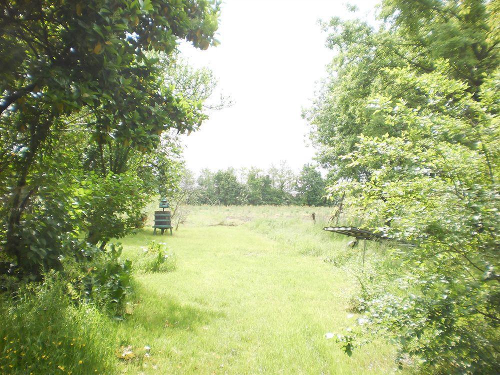 Green Fields Padova Exterior photo