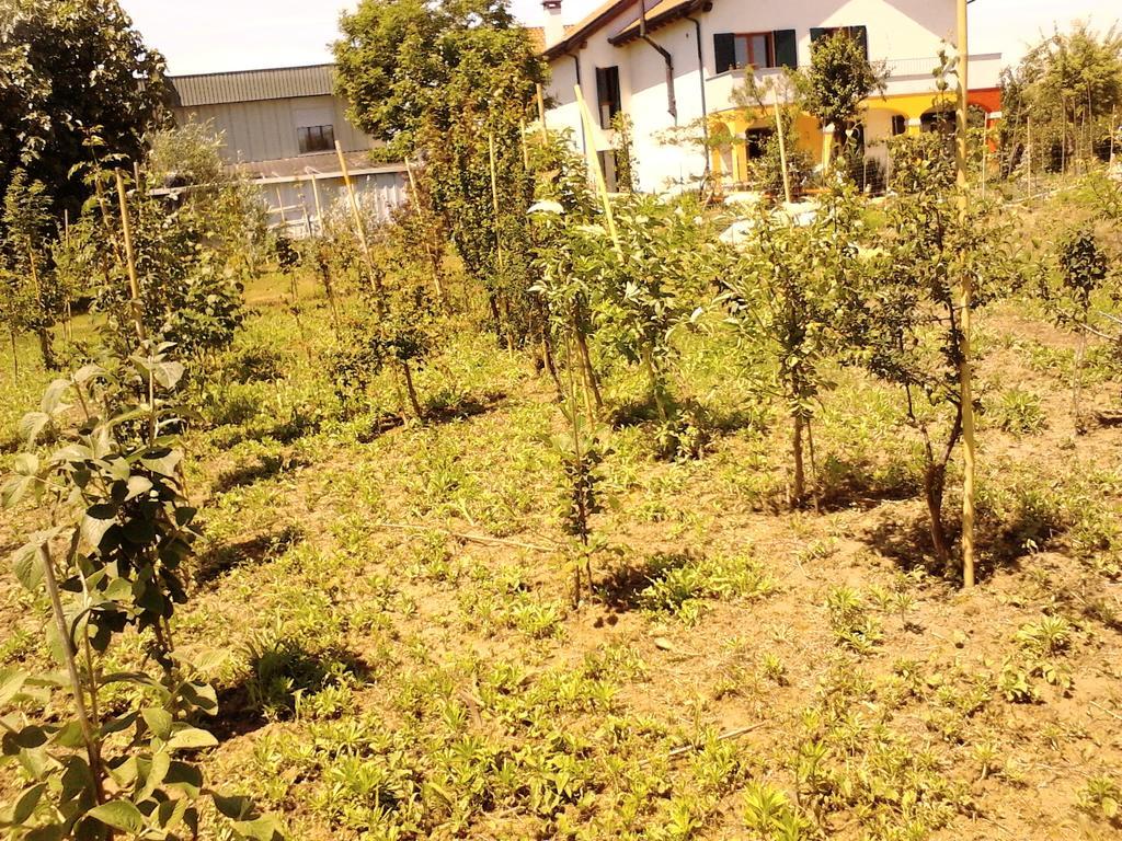 Green Fields Padova Exterior photo