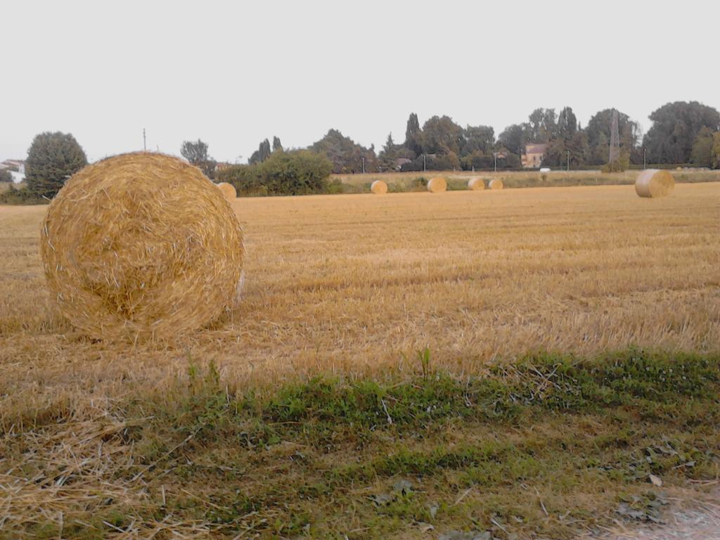 Green Fields Padova Exterior photo