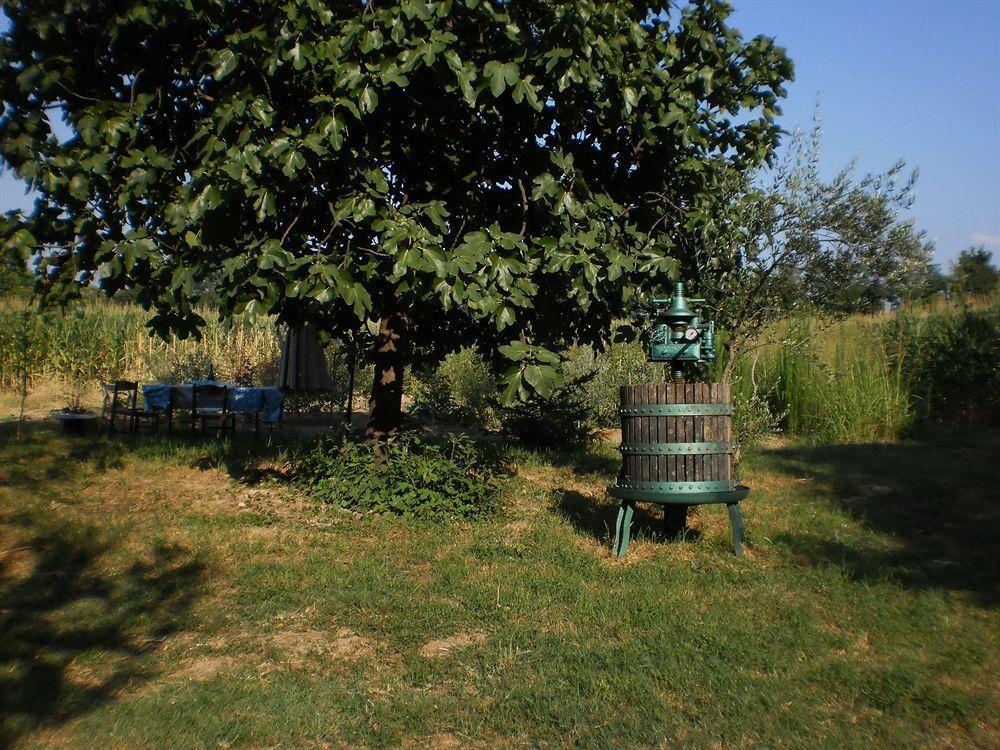 Green Fields Padova Exterior photo